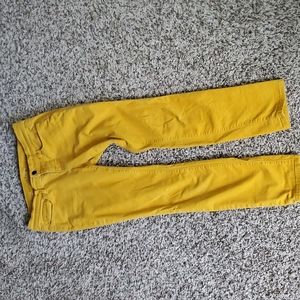 Loft Modern Skinny Pants